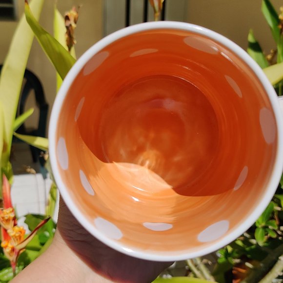 NWT - “I’m a Cat Lover” Mug - Picture 5 of 6